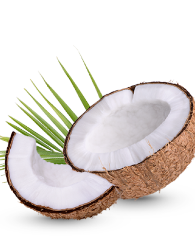 Coconut